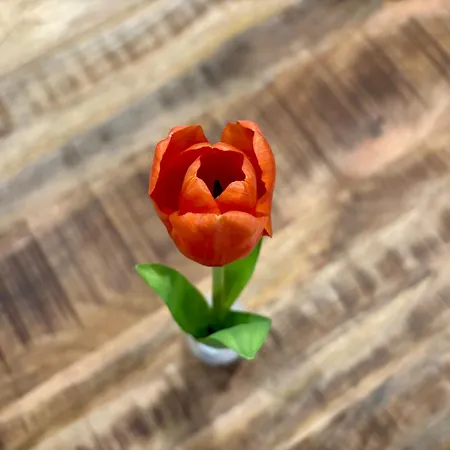 Aero Apartmaji Lesce-bled Lejlighed *