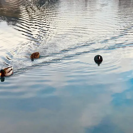 Aero Apartmaji Lesce-bled Lesce (Upper Carniola)