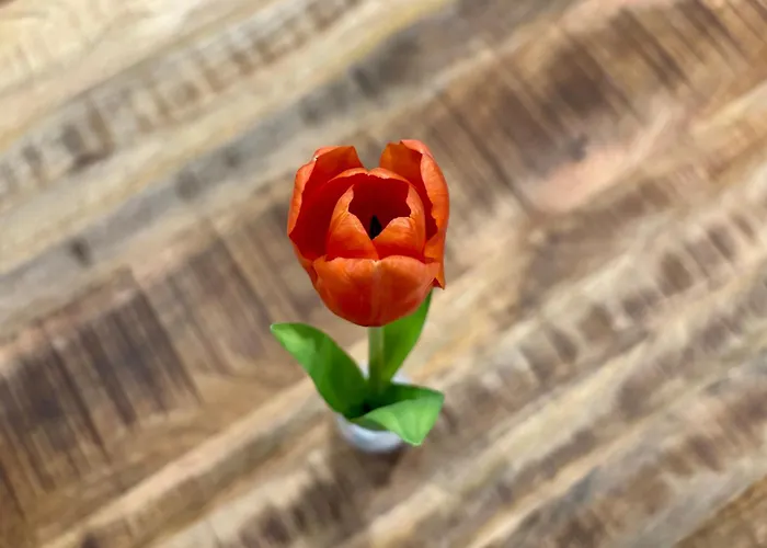 Aero Apartmaji Lesce-bled Appartamento *