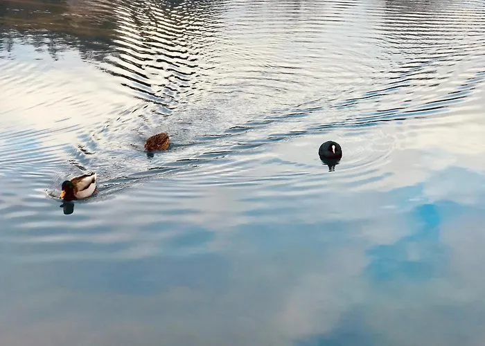 Aero Apartmaji Lesce-bled Лешче